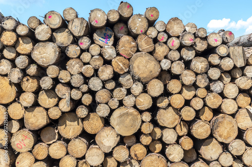 Holz Holzernte Forstwirtschaft Baumst  mme