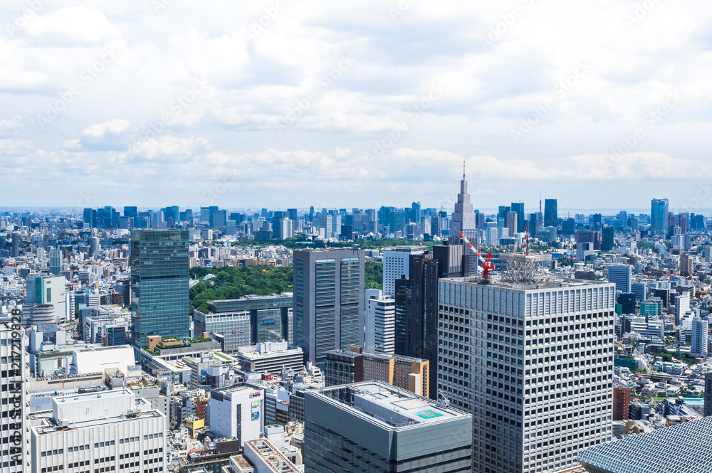 Fototapeta premium 都庁から眺める東京都心部の町並み