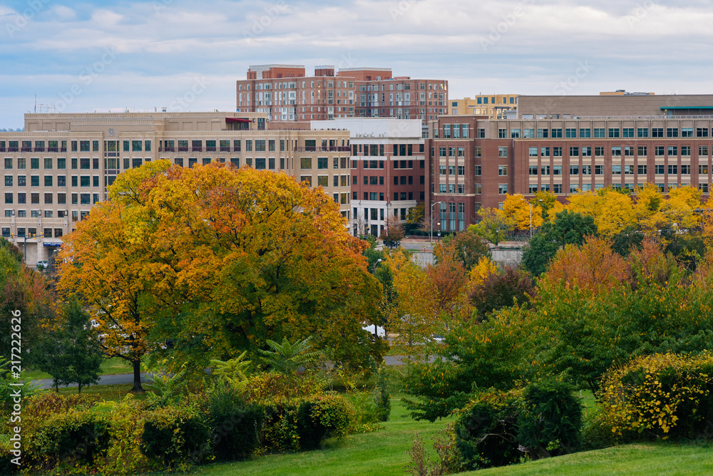 Fall foliage and modern buildings in Alexandria, Virginia