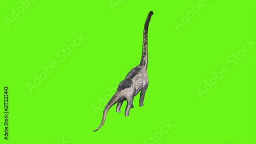 Dinosaur Braquiossauro animation on green screen. Realistic render photo