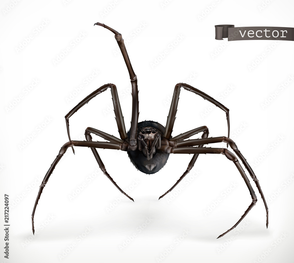 Realistic spider, Halloween 3d vector icon Realistic spider, Halloween 3d vector icon