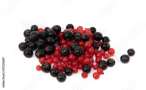 Red and black currants isolated on white background.