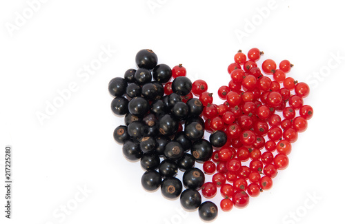 Red and black currants isolated on white background.