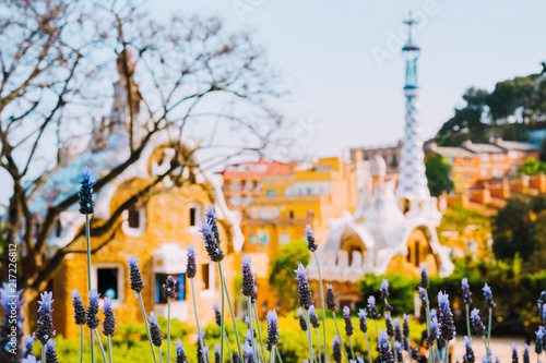 Colorful mosaic building in Park Guell. Violet lavender flower in foreground. Evening warm Sun light, Barcelona, Spain