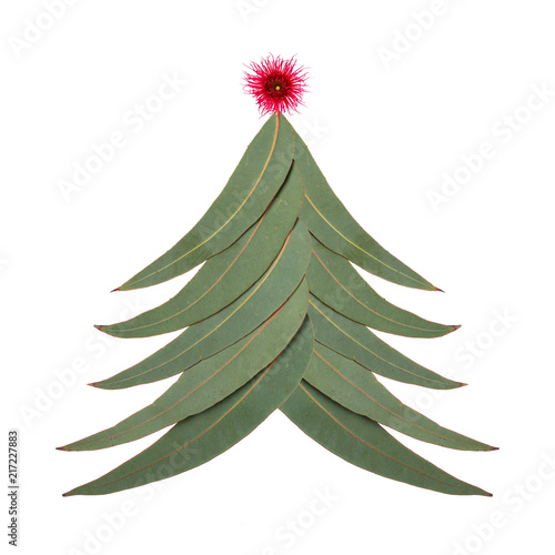 An Aussie Christmas tree made up of Australian gum tree leaves with a small red gum nut blossom as the star