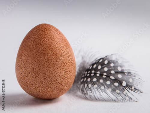 Egg of guinea hen with feather