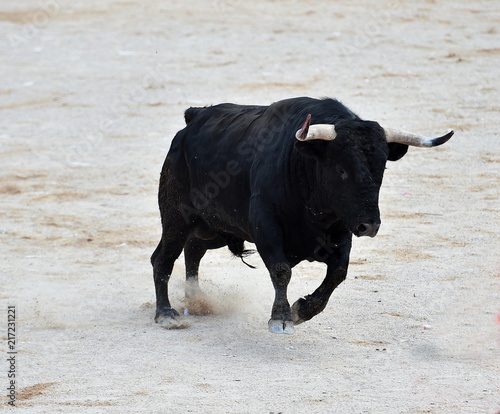 Wallpaper Mural toro negro español Torontodigital.ca