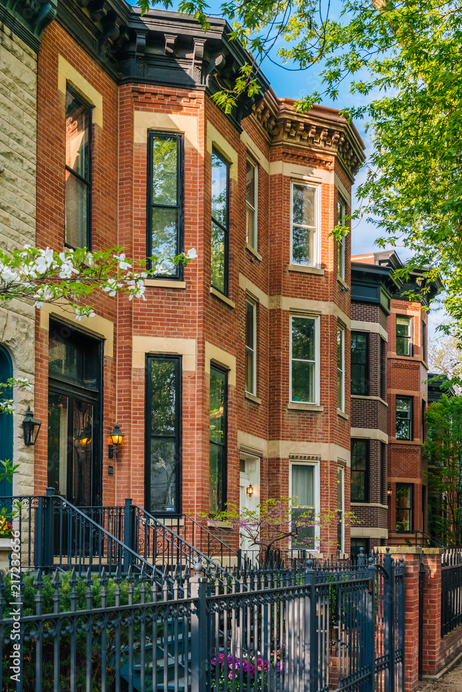 Fototapeta premium Houses in Lincoln Park, Chicago, Illinois