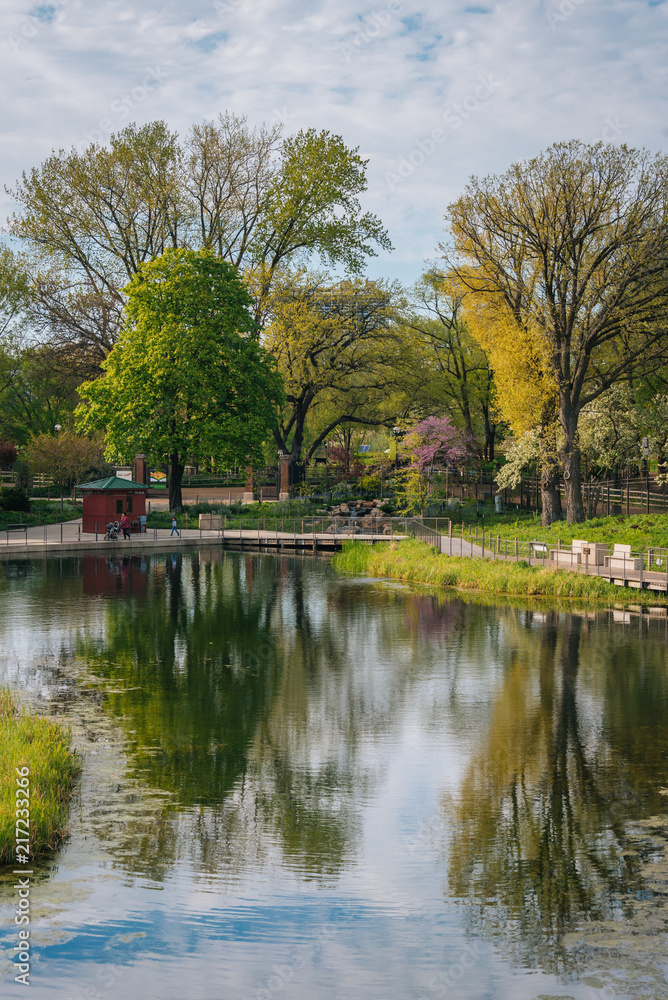 The South Pond at Lincoln Park, in Chicago, Illinois The South Pond at Lincoln Park, in Chicago, Illinois