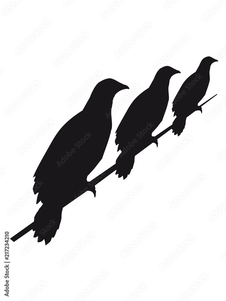 Fototapeta premium rabe strom leitung 3 freunde team crew seil sitzend silhouette schwarz umriss schatten adler falke taube vogel fliegen clipart