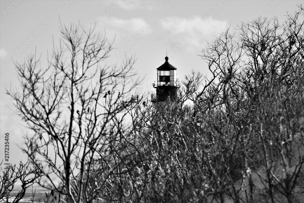 icy branches lighthouse
