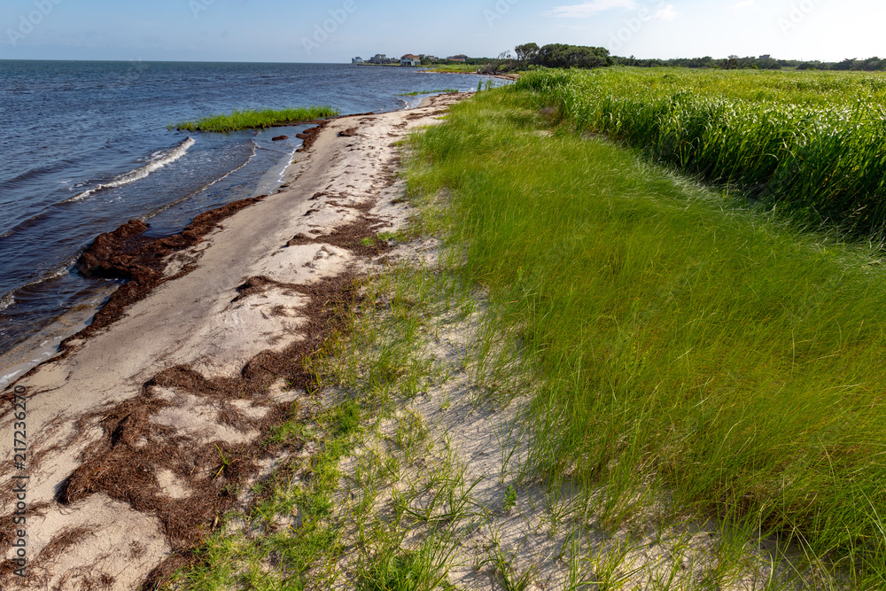 Currituck Sound Shoreline along Hatteras Island in the Outer Banks of Avon, North Carolina