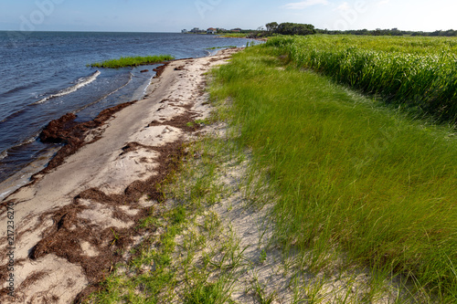 Currituck Sound Shoreline along Hatteras Island in the Outer Banks of Avon  North Carolina