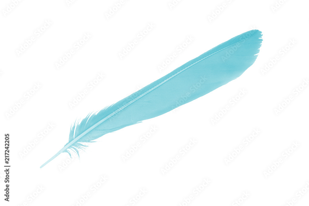 feather color turquoise emerald green on white background 