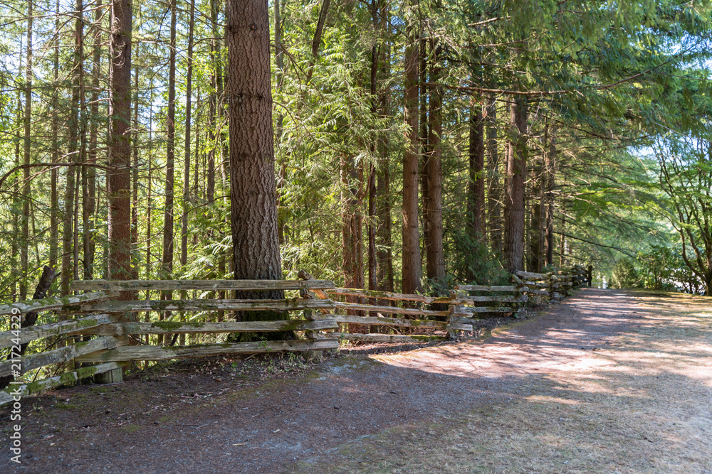 Obraz premium wooden fence of bars, along a country road near a dense forest