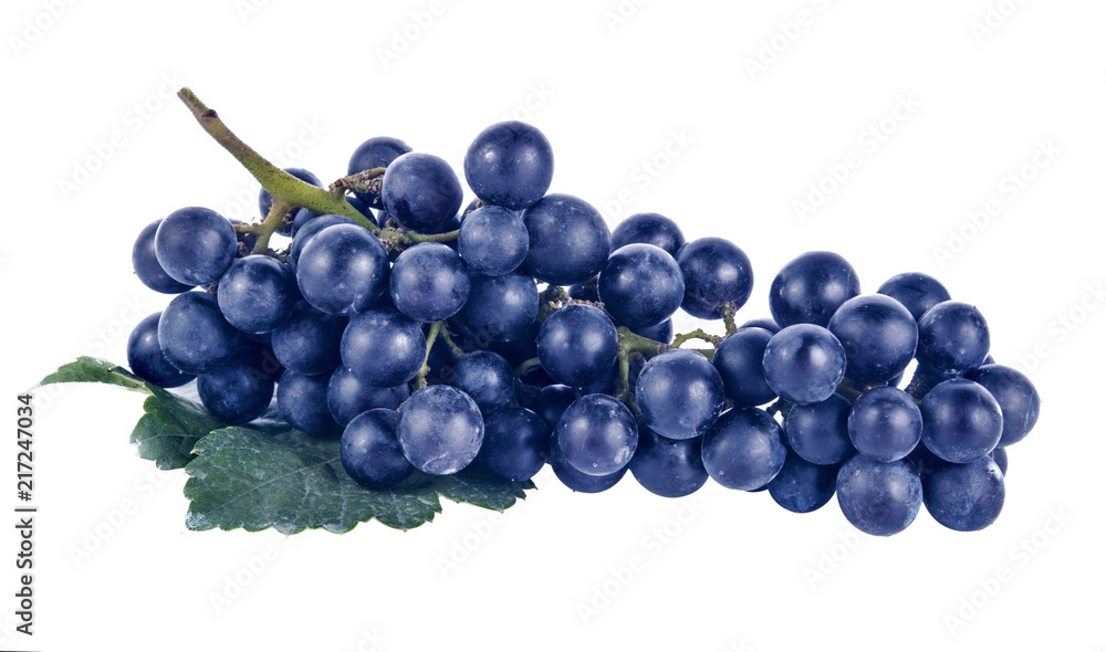 Blue wet Isabella grapes bunch isolated on white background as package design element