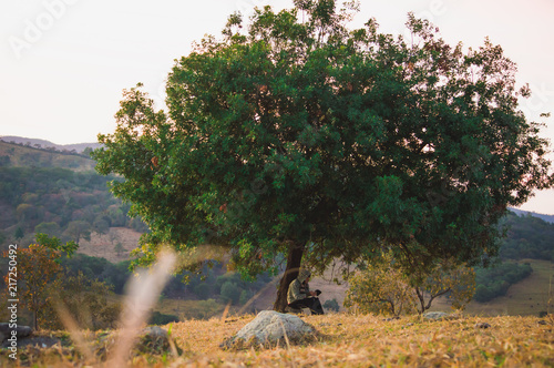Wallpaper Mural tree, hill, prayer, sunrise, sunset, pray Torontodigital.ca