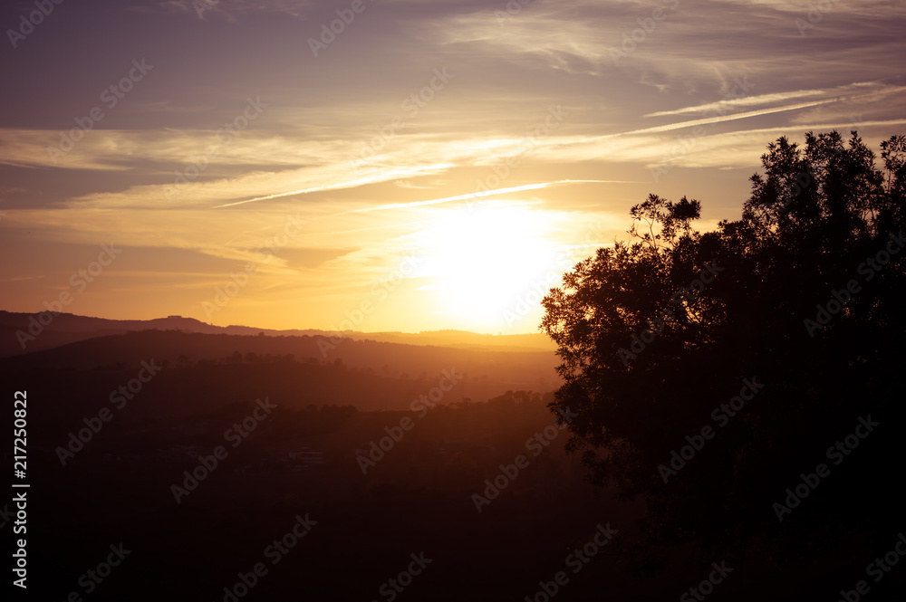 tree, hill, prayer, sunrise, sunset