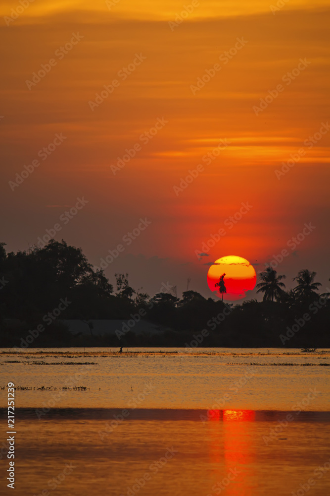Sunset reflect on water at lake farm field landscape and tree silhouette with cloudy twilight sky background Sunset reflect on water at lake farm field landscape and tree silhouette with cloudy twilight sky background