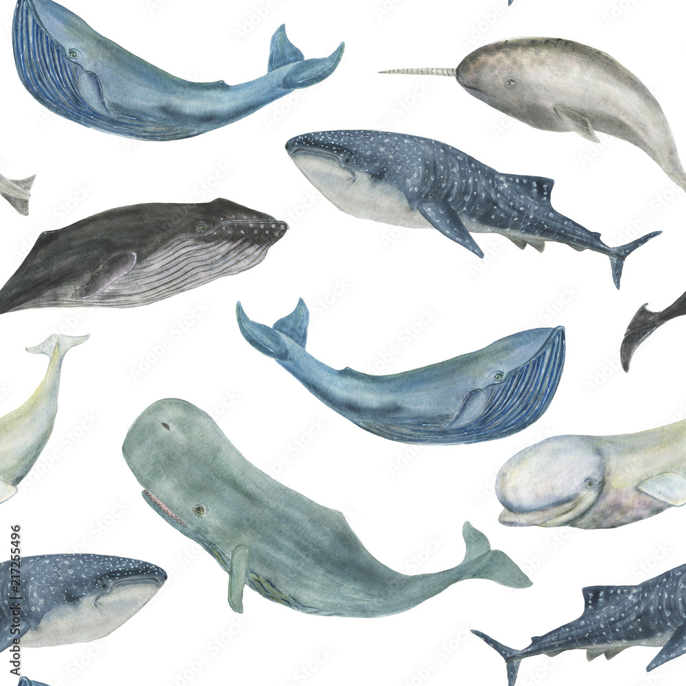 Fototapeta premium Akwarela malarstwo wzór z wielorybami