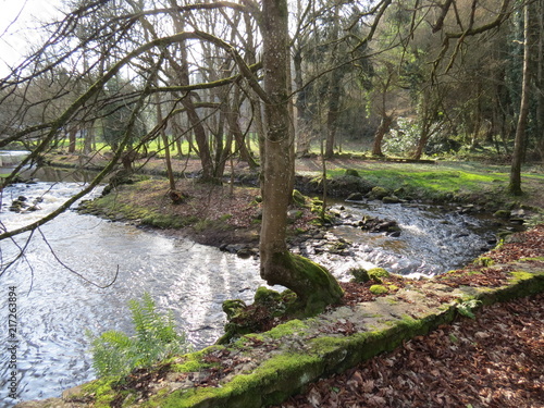 Obraz na plátně River in the park