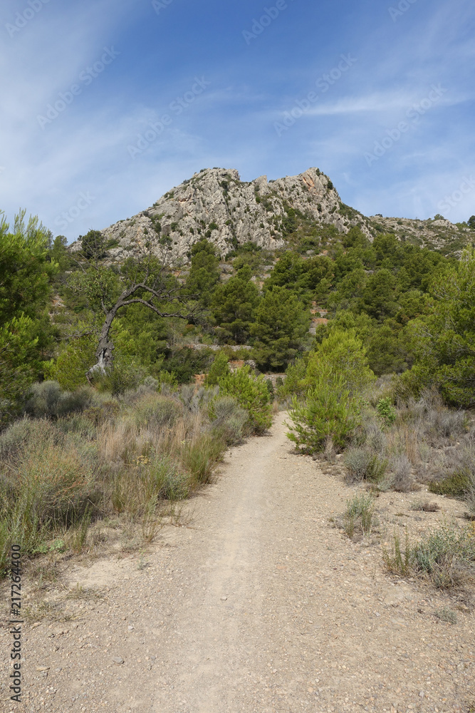 Trails of the desert of the palms in Castellon Trails of the desert of the palms in Castellon