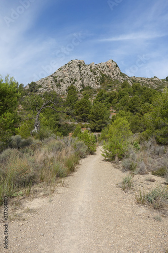 Trails of the desert of the palms in Castellon