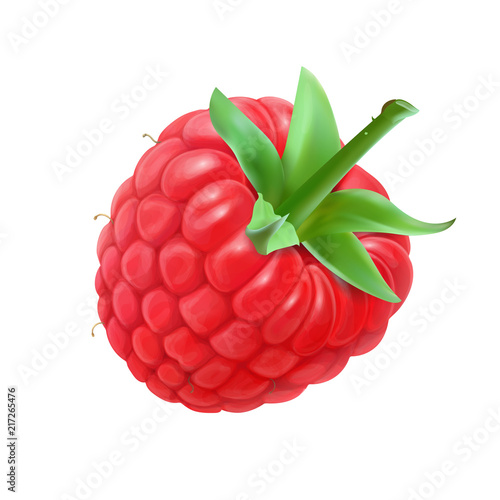 Raspberry. Vector realistic icon illustration