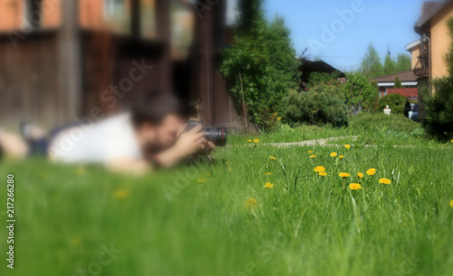 Fototapeta Naklejka Na Ścianę i Meble -  Photo of yellow dandelion flowers close-up on natural blurred background.