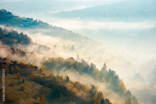 Fototapeta beautiful foggy autumn background. lovely scenery with forest on hill