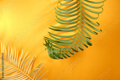 Tropical leaves background