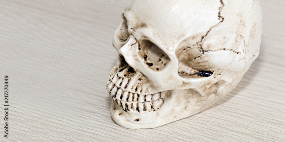 Naklejka premium Head of skull human model wood on table.Copy space.