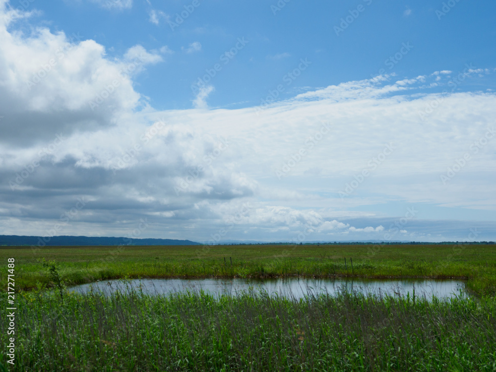 北海道のサロベツ湿原