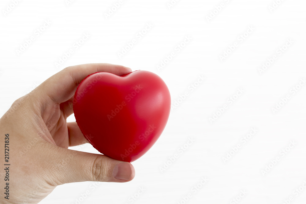 Hand holding red heart model on white background.Copy space. Hand holding red heart model on white background.Copy space.