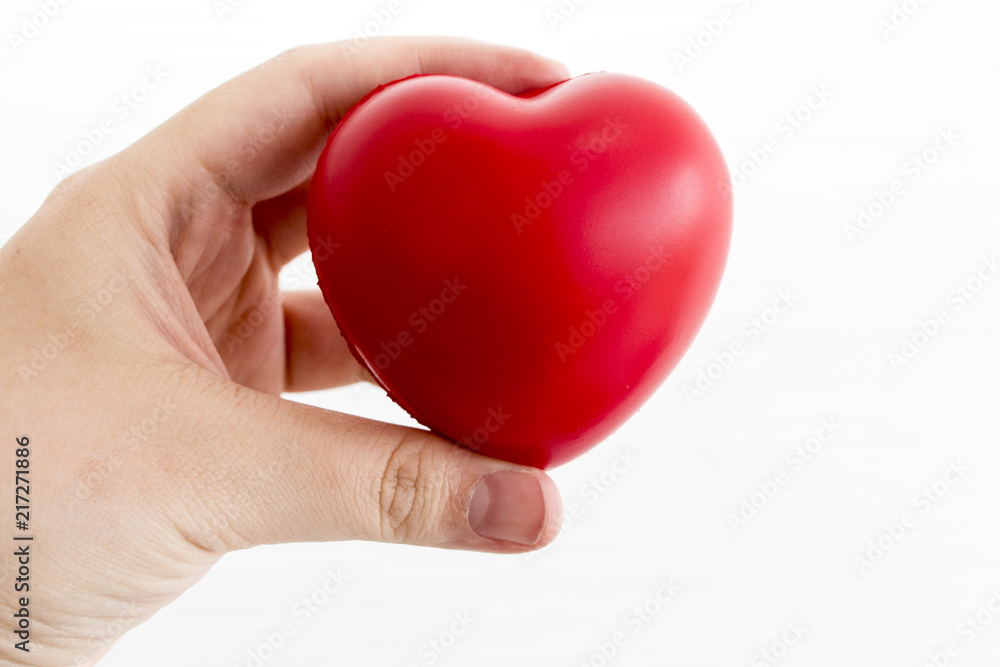 Hand holding red heart model on white background.Copy space. Hand holding red heart model on white background.Copy space.