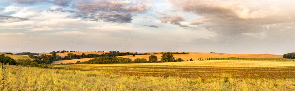 Panoramic shot of summer morning countryside with fields