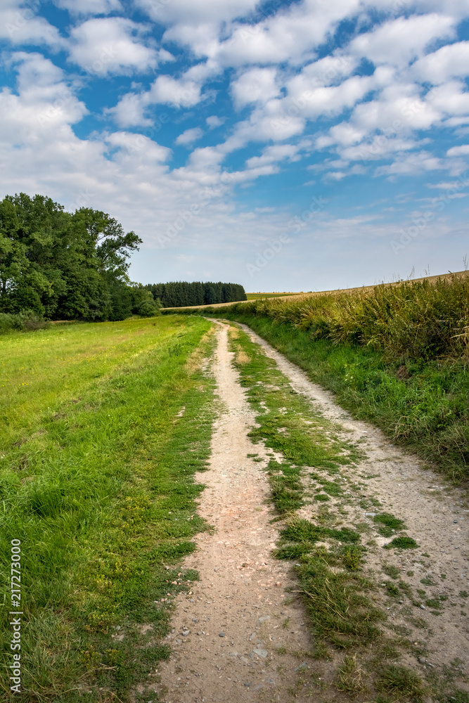 Dirt road through summer landscape under blue sky