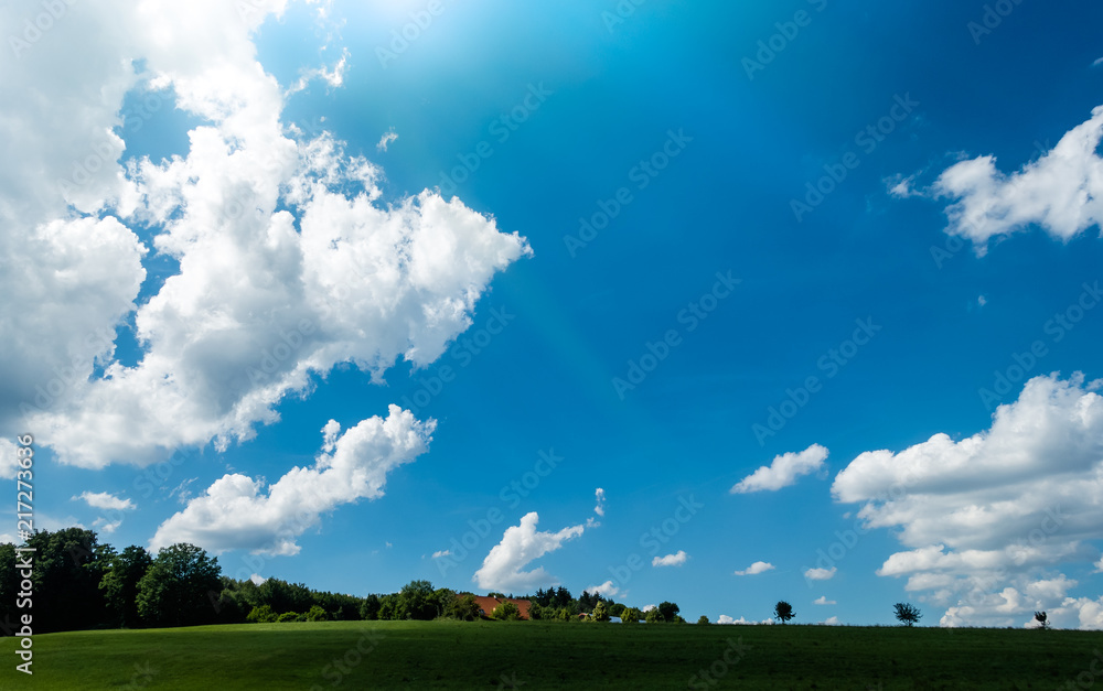 Scenic Landscape with Blue Sky and Clouds over Forest