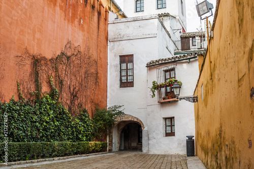 Fototapeta Naklejka Na Ścianę i Meble -  Small square in Santa Cruz with the walls painted in vivid colors (Seville, Spain)