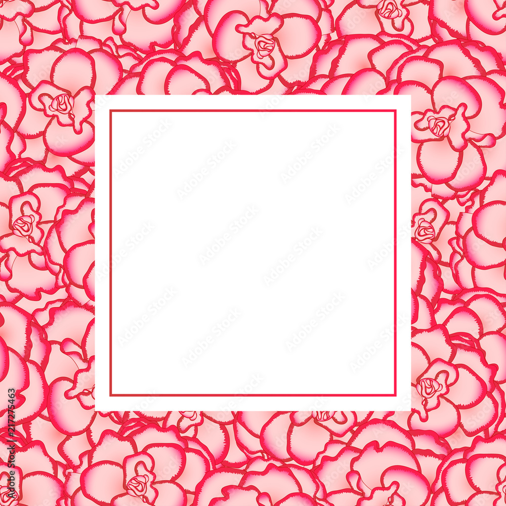 Pink Begonia Flower, Picotee First Love Banner Card Pink Begonia Flower, Picotee First Love Banner Card