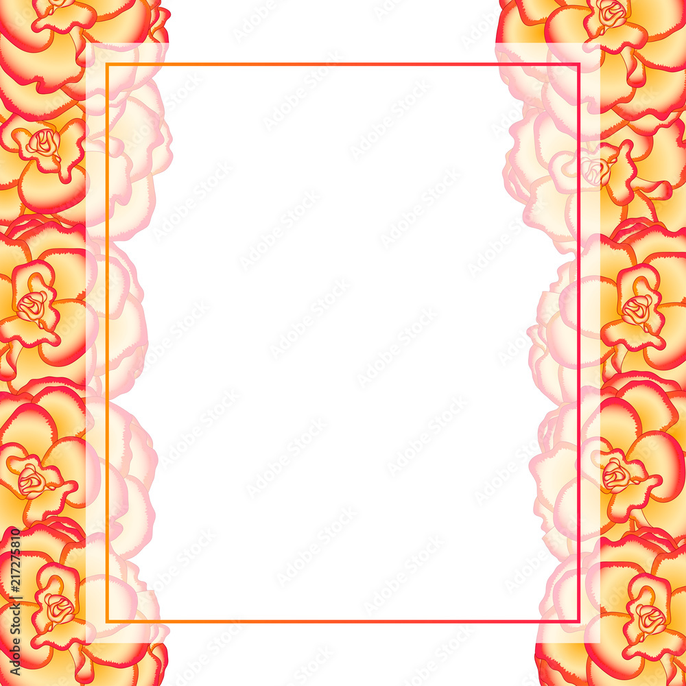 Begonia Flower, Picotee Sunburst Banner Card Border Begonia Flower, Picotee Sunburst Banner Card Border