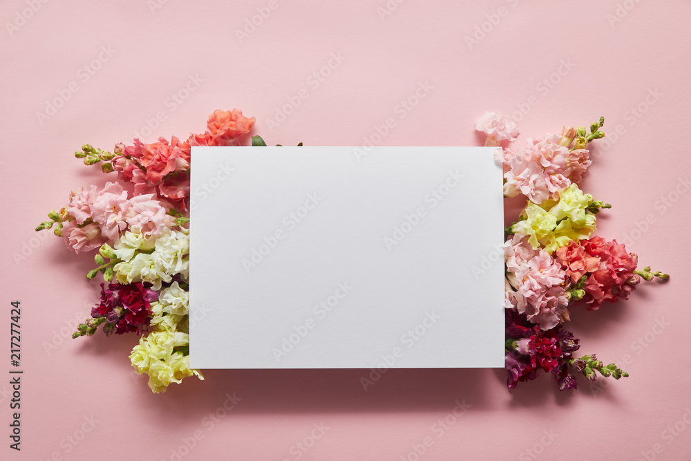 top view of beautiful tender flowers and blank card on pink