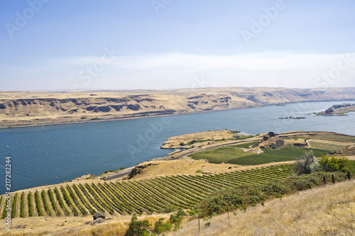 Summer Valley of the Columbia River with vineyards on the estate of Maryhill photo