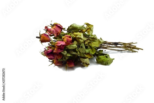 Top view of dried red rose and leaf on white background