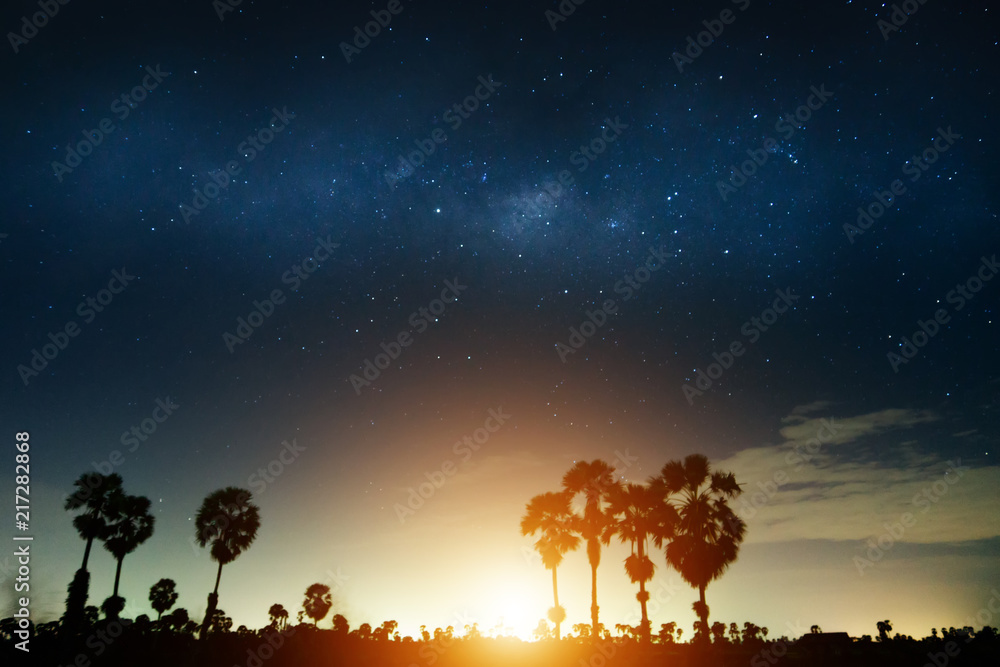 The star above sunrise with silhouette tree.