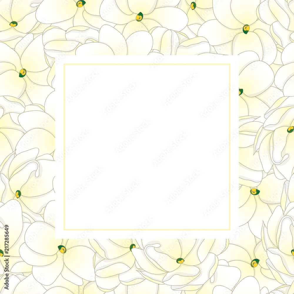 Arabian Jasmine Banner Card. Arabian Jasmine Banner Card.