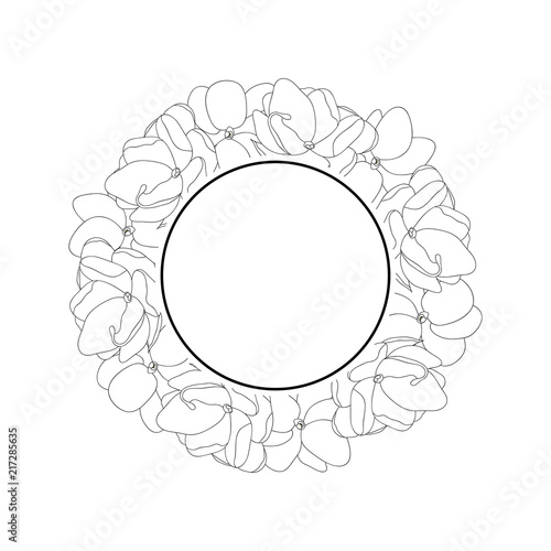 Fototapeta Naklejka Na Ścianę i Meble -  Arabian Jasmine Outline Banner Wreath