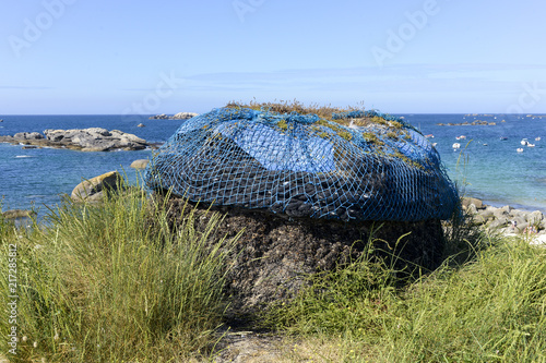 récolte du goémon, Site classé de Meneham, Kerlouen, 29, Finistère, Bretagne photo