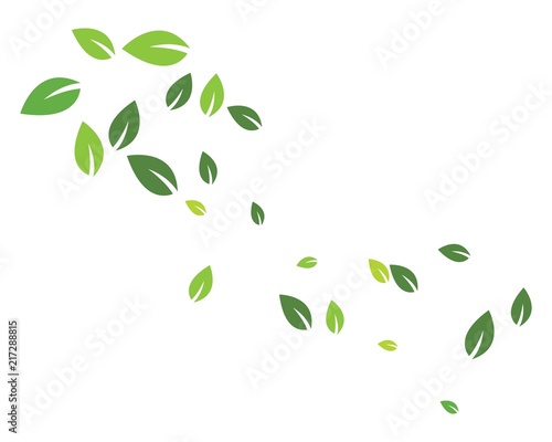 green leaf ecology nature element