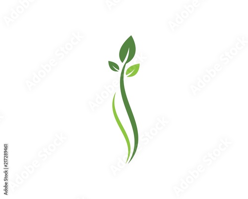 green leaf ecology nature element